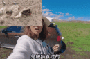 自驾西藏，我被一群狼盯上