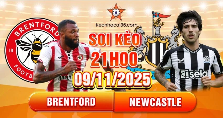 Soi Kèo Brentford Vs Newcastle 21h00 Ngày 09/11/2025