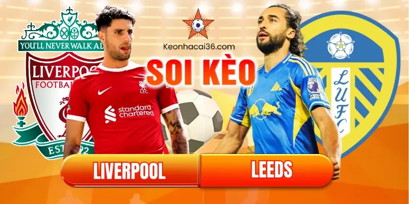 Soi kèo Liverpool vs Leeds, chờ đợi cơn mưa bàn thắng tại Anfield